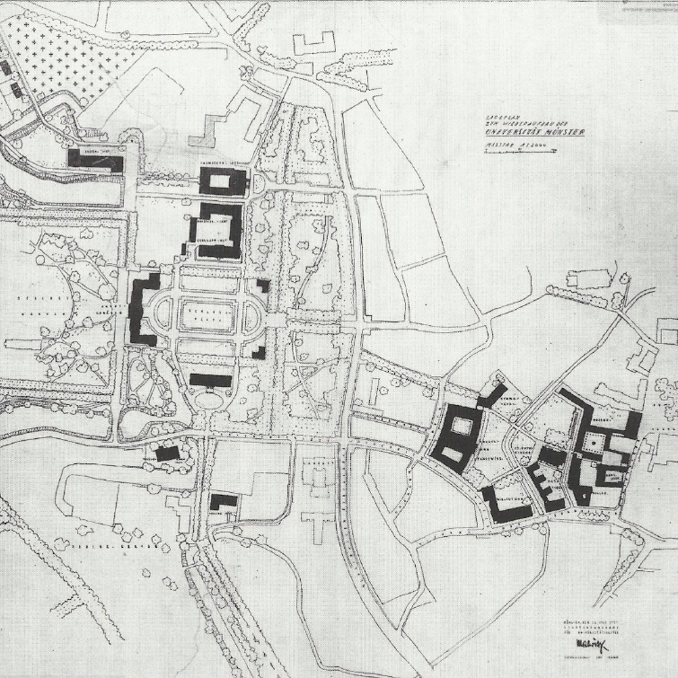 Hans Malwitz: Lageplan zum Wiederaufbau der Universität Münster, 1949