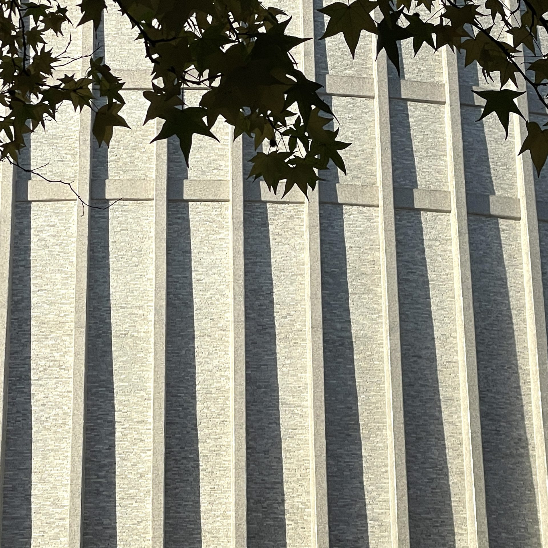 Theater Münster (1956) - Architektenteam: Harald Deilmann, Max von Hausen, Ortwin Rave und Werner Ruhnau - Bühnenturm - Foto: Stefan Rethfeld (2025)